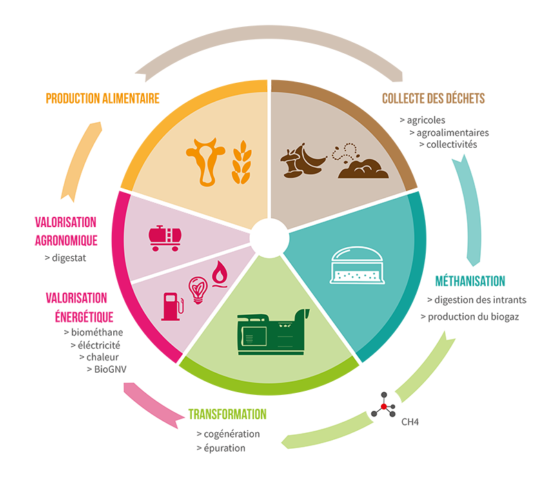 Infographie METHA 600px
